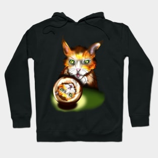 Silly ginger cat with a crystal ball Hoodie